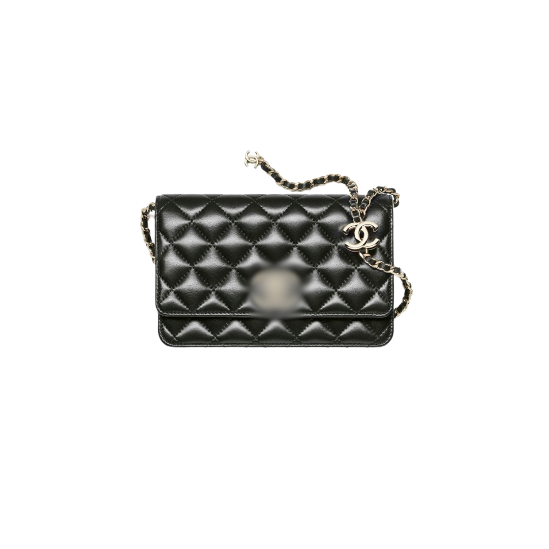 Bag Organizer for Chanel WOC (Wallet on Chain) - Zoomoni