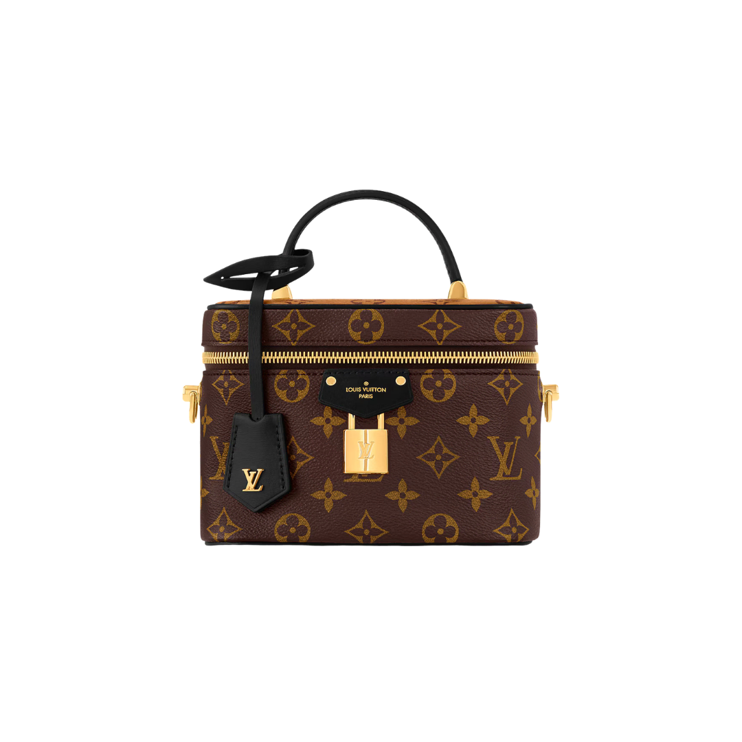Louis Vuitton Vanity PM Bag Organizer Insert | Zoomoni